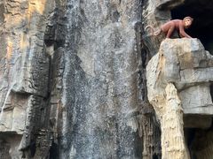 -十渡高山漂流
