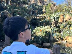 -奥兰多迪士尼动物王国乐园