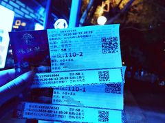 -珠江夜游省总码头