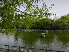 -莲湖公园