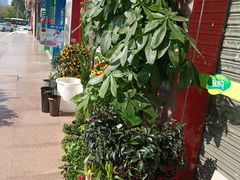 -爱尚鲜花店(粤通综合楼店)