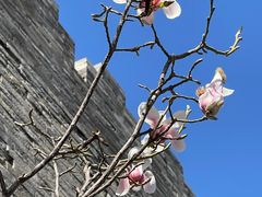 -东华门大街小区