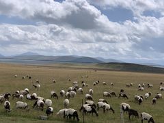 -祁连山草原