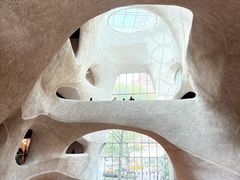 -美国自然历史博物馆