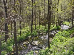 -玉渡山自然风景区