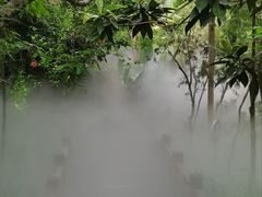 -厦门园林博览苑