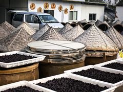 -苏州市吴中区光福窑上花果蜜饯厂