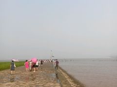 -南汇嘴观海公园