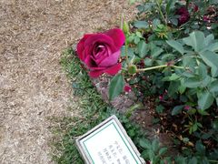 -人民公园(罗湖区)