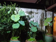 -院子餐厅·大锅菜·老杭帮(桥西直街店)