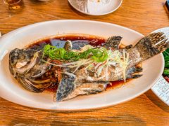 清蒸老虎斑-融和里(华润·二十四城店)