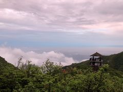 -大围山国家森林公园