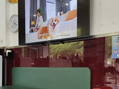 -顺强宠物诊所·狂犬免疫·夜诊·骨科(嘉定店)