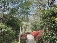 -天目湖涵田度假村