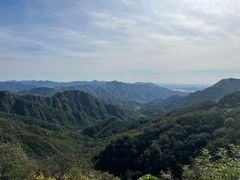 -大岭沟猕猴桃谷风景区