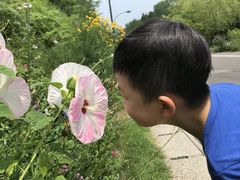 -小豆岛町
