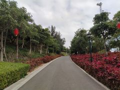 -八仙山公园