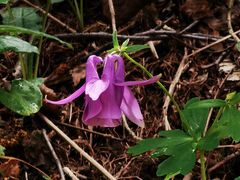 -白草畔自然风景区