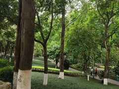 -龙头寺公园