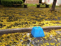 -天河体育中心