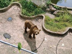-无锡动物园·太湖欢乐园