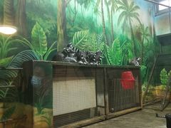 -西安秦岭野生动物园