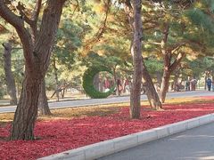 -北陵公园