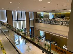 -四川米兰柏羽医学美容医院