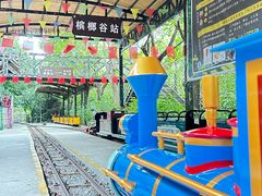 -海南槟榔谷黎苗文化旅游区
