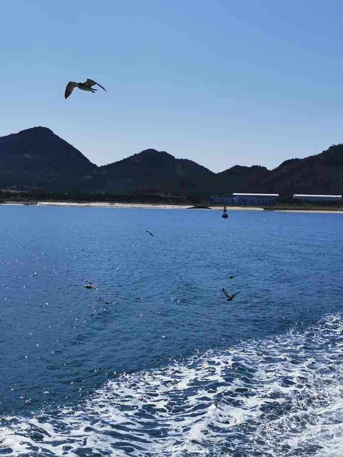 海驢島-