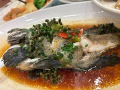 -新金盛·海鲜酒楼(盐田店)