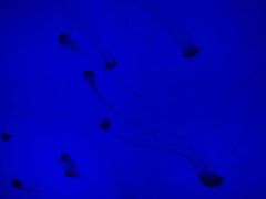 -沈阳海洋探索中心