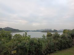 -立新湖公园