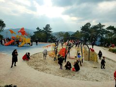 -铁山坪森林公园