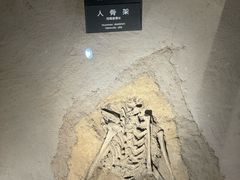 -河姆渡遗址博物馆