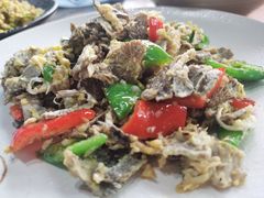 云椒白参菌-云上千禾(水上店)