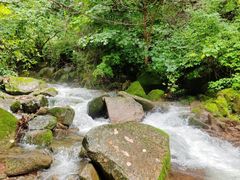 -本溪汤沟绿石谷森林公园