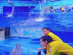 -多彩贵州城极地海洋世界