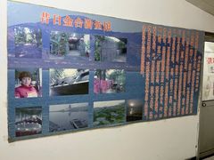 -金台阶鱼馆(于桥水库店)