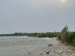 -绿堤公园