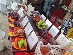 -马陆小张葡萄园农家乐