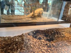 -上海跨国采购会展中心