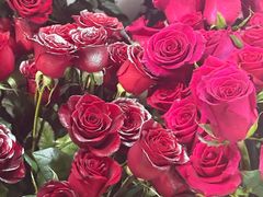 -循礼门鲜花花市(武汉循礼门店)