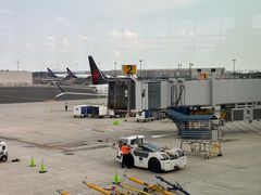 -纽瓦克自由国际机场