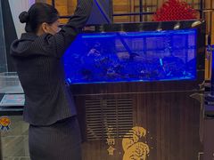 -皇朝会.经典传统粤菜(外滩店)