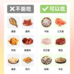 -Fundi张玉珊修身堂·indiba·BTL科技瘦身