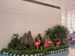 -银川河东国际机场