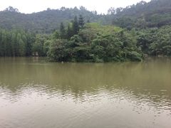 -滴水岩森林公园