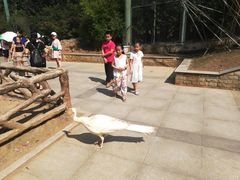 -黔灵山公园-南门售票处