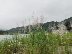 -海窝子古镇
